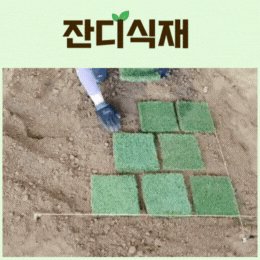 사용자 등록이미지