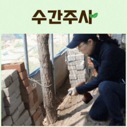 사용자 등록이미지