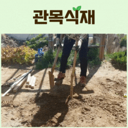 사용자 등록이미지